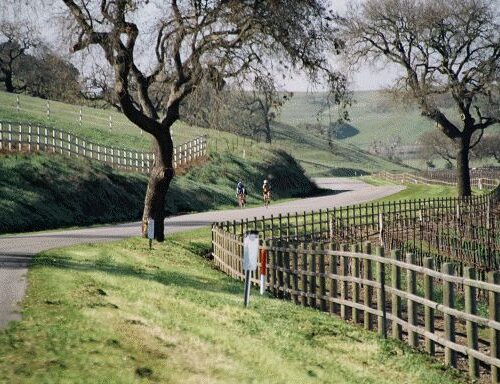 ET Spring Training Camp SOLVANG – April 25–29, 2019 - Image 8