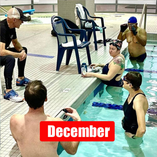 Swim 101 - Learn to Swim - December - Image 1