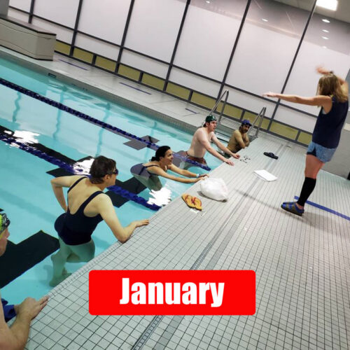 Swim 101 - Learn to Swim - January - Image 1