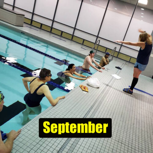Swim 101 - Learn to Swim - September - Image 1
